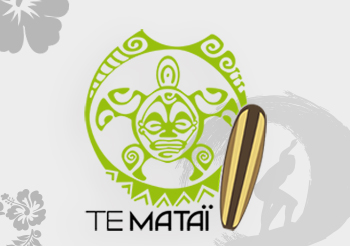 creation-de-logo-tematai-shop-kitesurf-conseilmkg